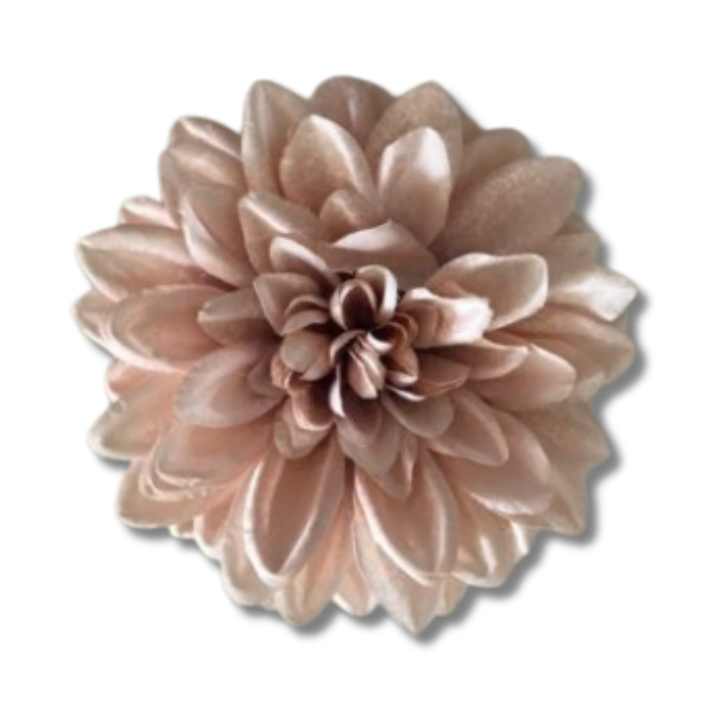 Dahlien altrosa/lila deluxe