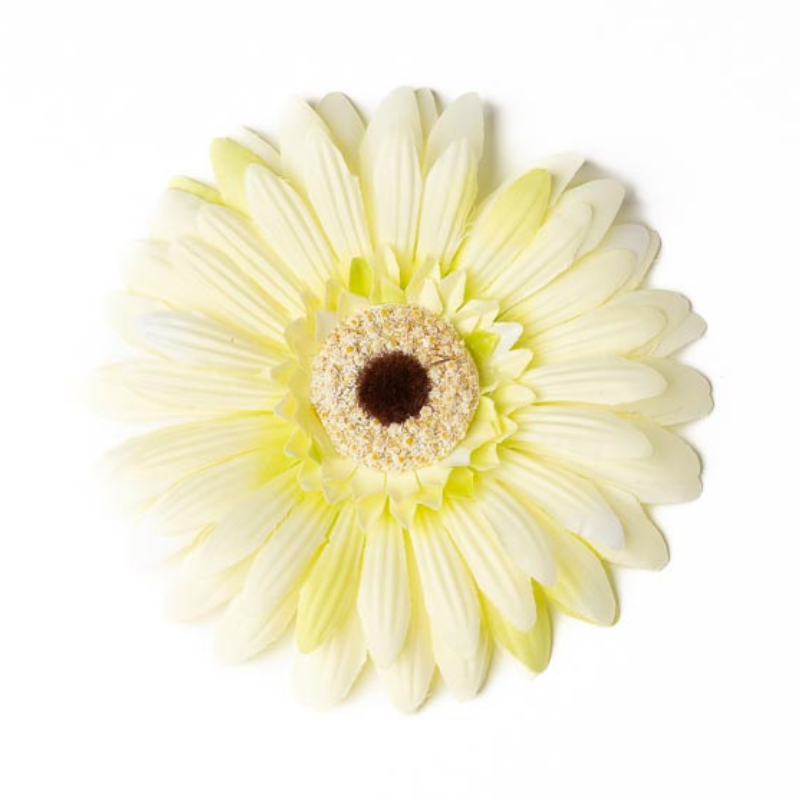 Gerbera weiss/grün