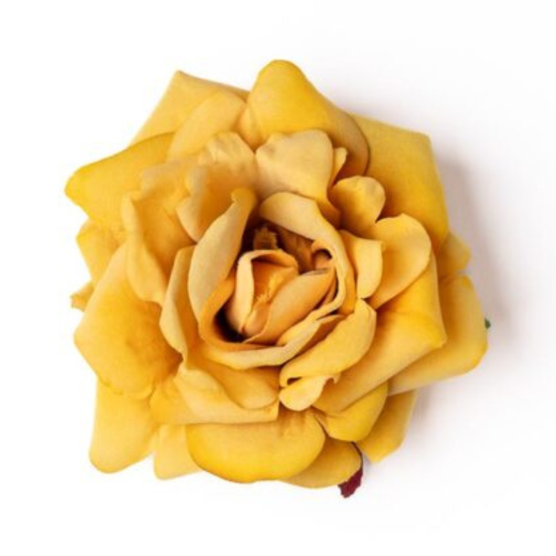 Rose ocker