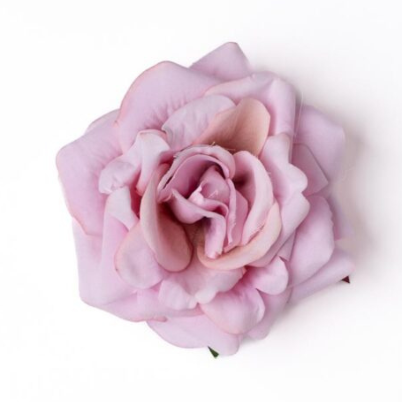Rose samtrosa