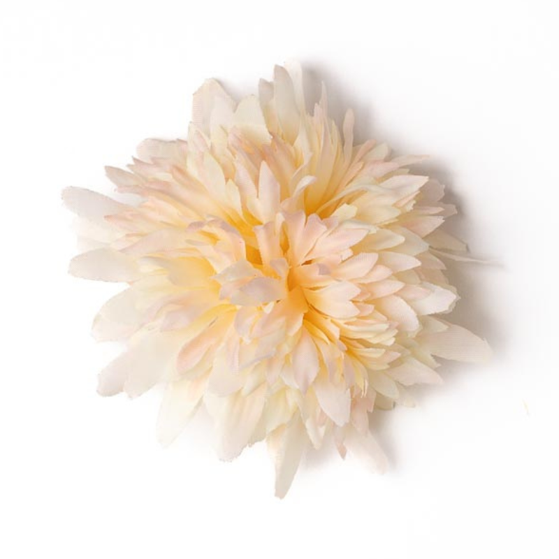 Scabiosa hellgelb