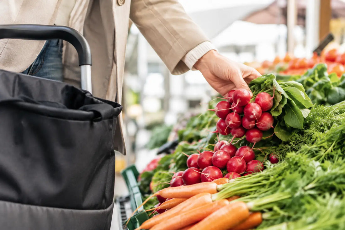 Shopping Trolley oder City Caddy: Was passt?