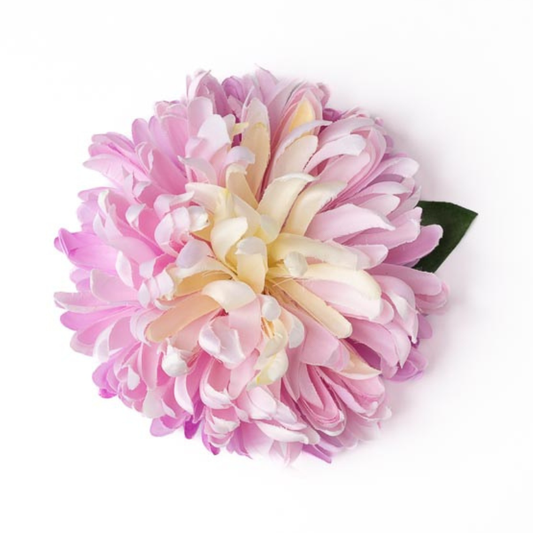 Chrysantheme deluxe rosa/weiss