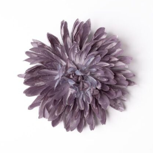 Chrysantheme glanz lila