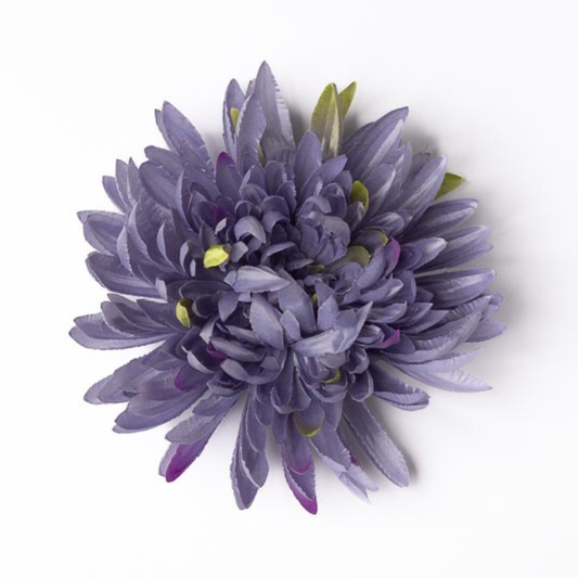 Chrysantheme glanz lila verspielt