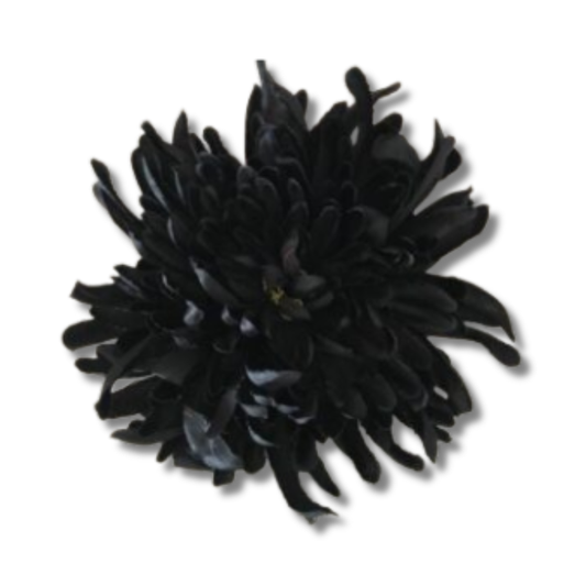 Chrysantheme schwarz verspielt