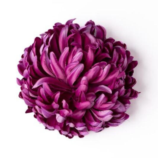 Chrysantheme Violett / lila deluxe