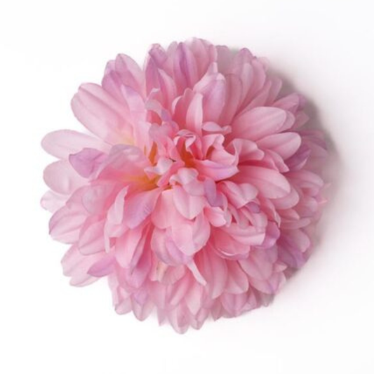 Chrysantheme Xtra altrosa