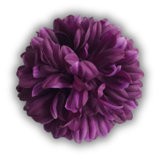 Chrysantheme Xtra violett