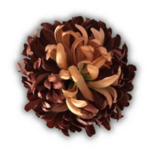 Chrysantheme coffee deluxe