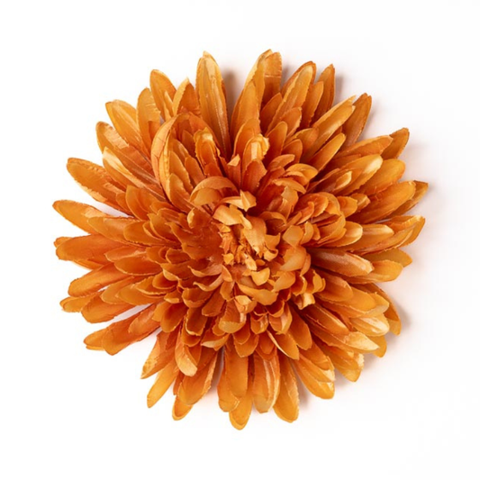 Chrysantheme glanz ocker