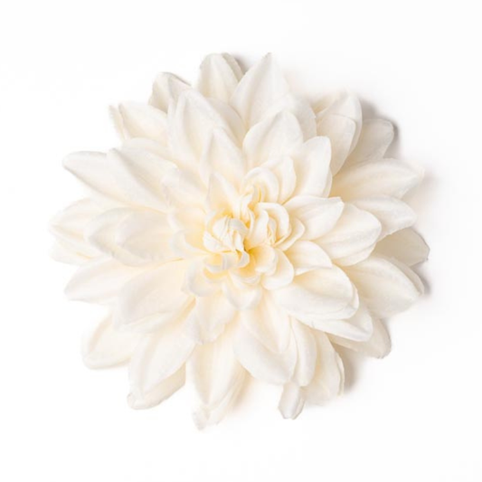 Dahlie eierschale deluxe