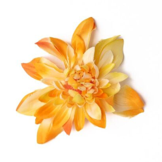 Dahlien gelb/orange