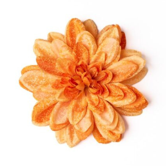 Dahlie orange deluxe
