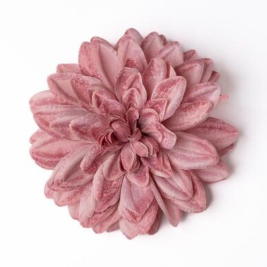 Dahlien rosa deluxe