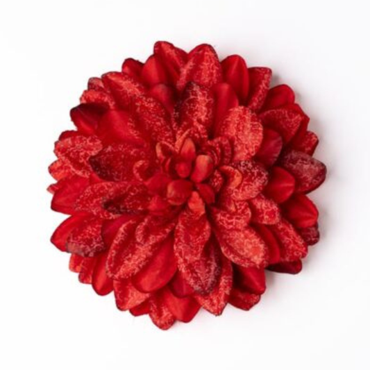 Dahlie rot deluxe
