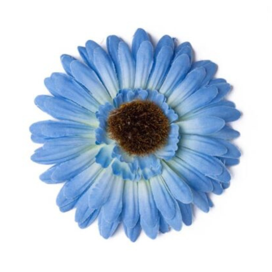 Gerbera blau