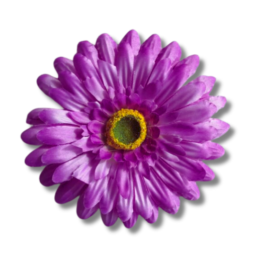 Gerbera lila