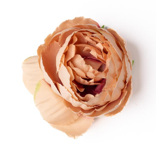 Peonia beige/rosa