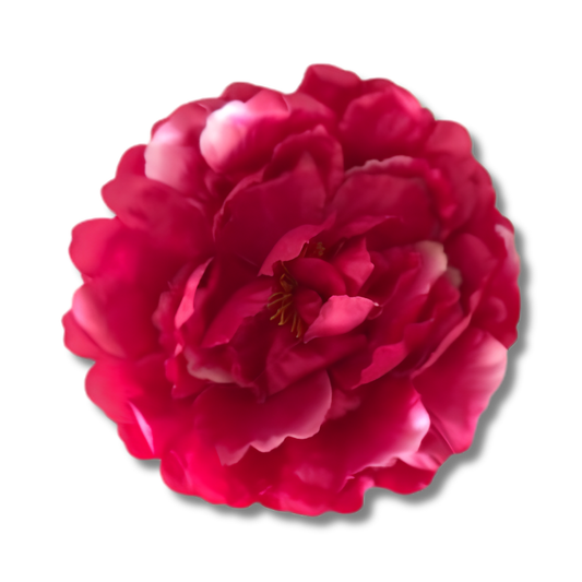 Peonia deluxe pink