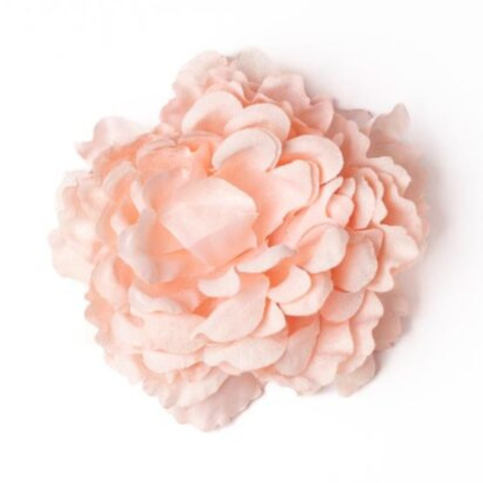 Peonia glitzer rosa