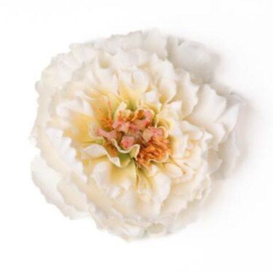 Peonia glitzer weiss