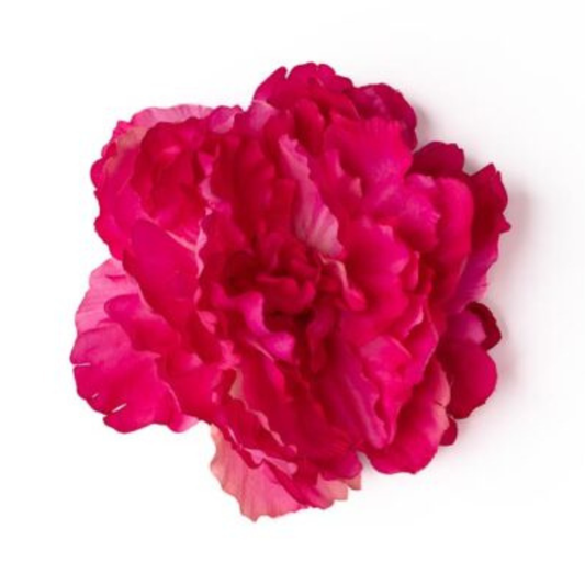 Peonia pink