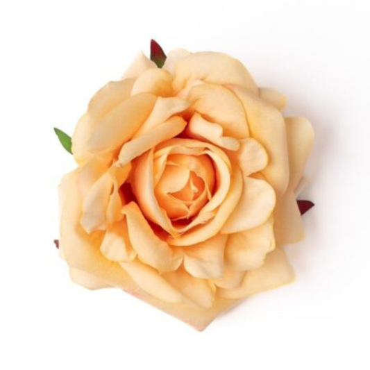 Rose lachs