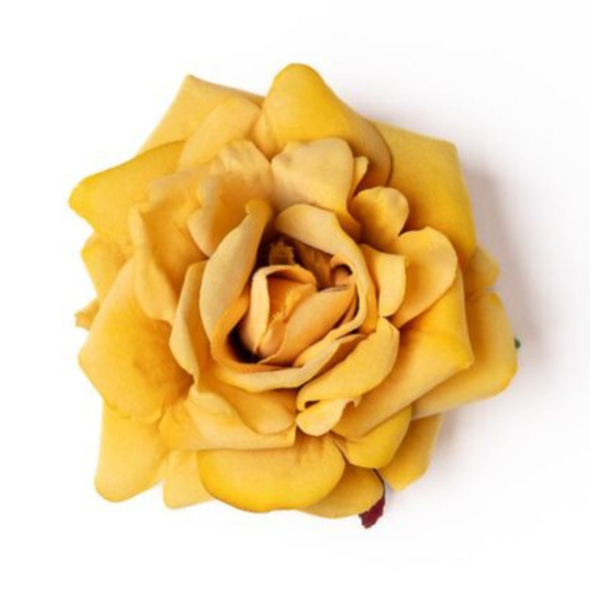 Rose ocker