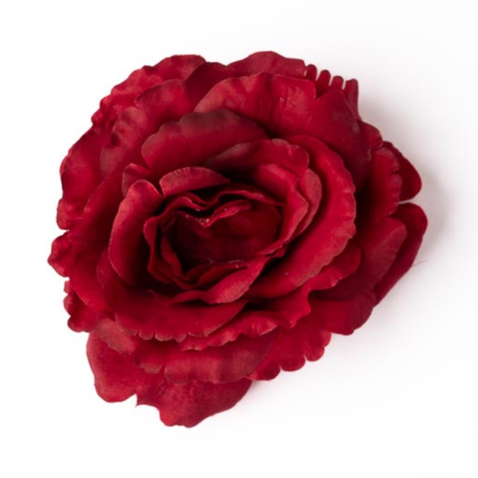 Rose rot