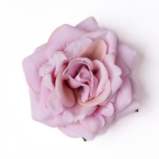 Rose samtrosa
