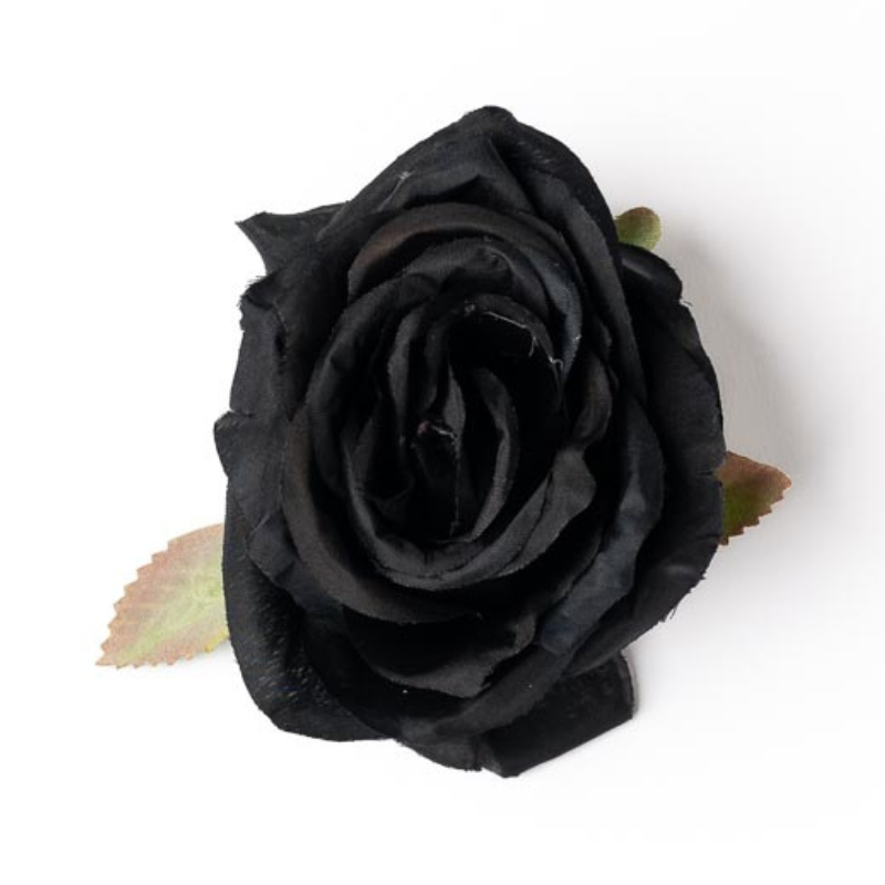 Rose schwarz / bordeaux