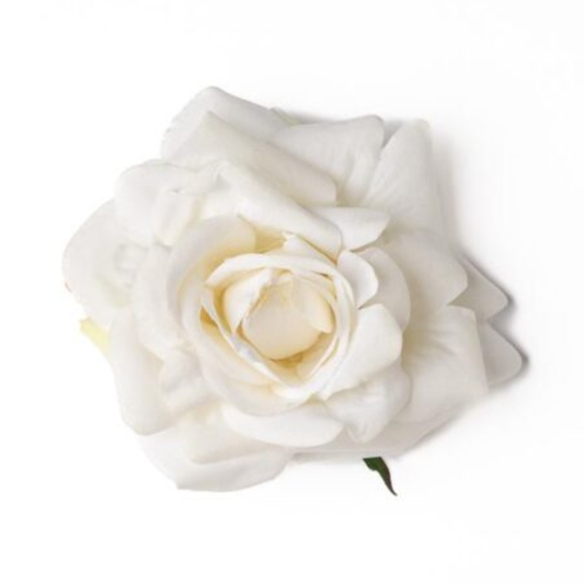 Rose weiss