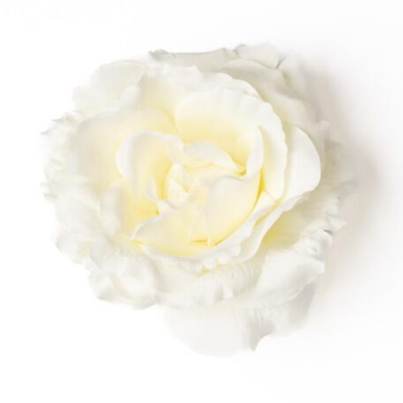 Rose weiss/vanille