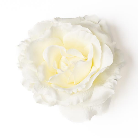 Rose weiss/vanille