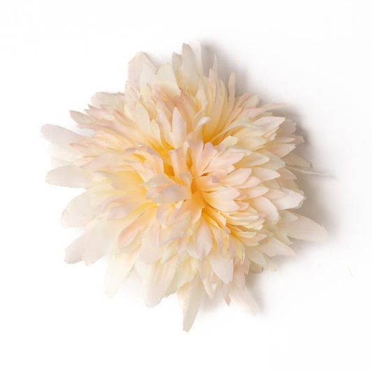 Scabiosa hellgelb